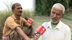 यमुना के बढ़ते जलस्तर से पानी में बह गए किसानों के कई बीघा खेत, नुकसान से बचने के लिए काट रहे कच्ची फसल