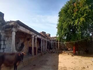 சனீஸ்வர பகவான் அருள்புரியும்  ‛தென் திருநள்ளாறு’ !