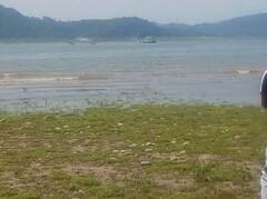 ਰਣਜੀਤ ਸਾਗਰ ਝੀਲ 'ਚ ਕਰੈਸ਼ ਹੋਏ ਹੈਲੀਕਾਪਟਰ 'ਚ ਮੌਜੂਦ ਪਾਇਲਟ ਤੇ ਕੋ-ਪਾਇਲਟ ਸੁਰੱਖਿਅਤ 