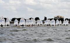 Sailing Competition 2021: ట్యాంక్ బండ్‌లో సెయిలింగ్ పోటీలు