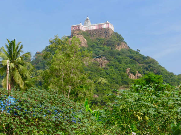 Pakshi Theertham: మాంసాహారం తినే గద్దలు చక్కెర పొంగలి మాత్రమే తింటాయి… ఏంటా ఆలయం ప్రత్యేకత…!