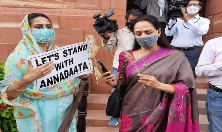 Harsimrat Badal offers wheat stalk to MP Hema Malini ਜਦੋਂ ਹੇਮਾ ਮਾਲਿਨੀ ਨੂੰ ਹਰਸਿਮਰਤ ਬਾਦਲ ਨੇ ਦਿੱਤਾ ਕਣਕ ਦਾ ਸਿੱਟਾ, ਵੀਡੀਓ 'ਚ ਵੇਖੋ ਫਿਰ ਕੀ ਹੋਇਆ...