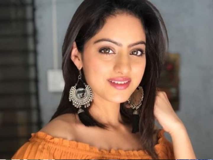 कम ही लोग जानते होंगे कि दीपिका सिंह, जिन्होंने अपने टेलीविजन शो दीया और बाती हम से लोकप्रियता हासिल की है उन्होंने पंजाब के कॉलेज से मार्केटिंग में एमबीए किया है. अभिनेत्री अपने फैन्स को सोशल मीडिया पर अपनी ग्लैमरस तस्वीरों और डांस वीडियो से जोड़े रखती हैं.