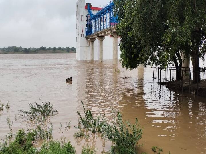 Flood Danger in Chambal River Due To Heavy Rains Agra DM Inspected Issued Alert ann Flood Danger in Chambal: चंबल नदी में मडराने लगा है बाढ़ का खतरा, दहशत में हैं लोग