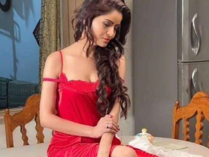 Adult Film Racket Case: Court Denies Interim Protection From Arrest To 'Gandi Baat' Actress Gehana Vasisth