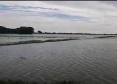 Flood in Chandauli: गंगा के बढ़ते जलस्तर से कर्मनाशा नदी उफान पर, दर्जनों गांव पर बाढ़ का खतरा मंडराया