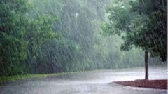 Weather Update : শুক্রবার পর্যন্ত চলবে বৃষ্টি, উদ্বেগ বাড়িয়ে পূর্বাভাস আলিপুর আবহাওয়া দফতরের