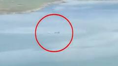 Ranjit Sagar Dam में गिरकर सेना का Helicopter हुआ क्रैश | Matrabhumi