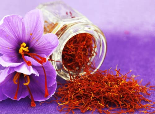 Skin Care: सर्दियों में सेहत ही नहीं त्वचा में भी निखार लाती है केसर, कील मुंहासे करें दूर और पाएं खिला-खिला चेहरा Skin Care: सर्दियों में सेहत ही नहीं त्वचा में भी निखार लाती है केसर, कील मुंहासे करें दूर और पाएं खिला-खिला चेहरा