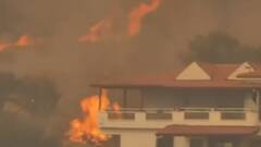 Top viral news videos of the day | Viral Express | 3 August 2021