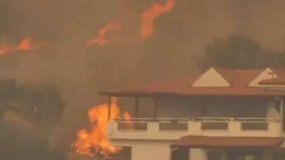 Top viral news videos of the day | Viral Express | 3 August 2021