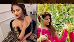 Special Report | मराठी नट्यांवरही पॉर्नचं जाळं? मराठीतल्या दोन अभिनेत्रींचा खळबळजनक गौप्यस्फोट