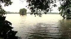 West Bengal Flood: बारिश-बाढ़ से बुरा हाल, बंगाल में 3 लाख लोग प्रभावित, फसल को बचाने की कोशिश कर रहे किसान