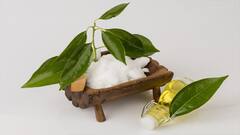 Usage of Camphor: চুল পড়ার সমস্যা থেকে সর্দির উপশম, ম্যাজিক এক চিমটে কর্পূরেই!