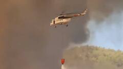 Wildfire chaos in the US, Turkey and Greece force hundreds to flee from their homes