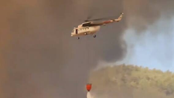 Wildfire chaos in the US, Turkey and Greece force hundreds to flee from their homes