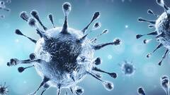 Covid-19 Update | एक दिन में फिर आये 42 हजार से अधिक मामले, 562 की मौत