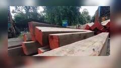 Siliguri: বাঁশের আড়ালে সেগুন কাঠ পাচারের অভিযোগ, শিলিগুড়ি থেকে গ্রেফতার ৭