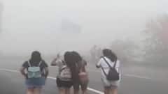 ડાંગ: વરસાદ બાદ ખીલ્યું કુદરતી સૌંદર્ય, સાપુતારા, ગિરા ધોધ તરફ પ્રવાસીઓ આકર્ષાયા