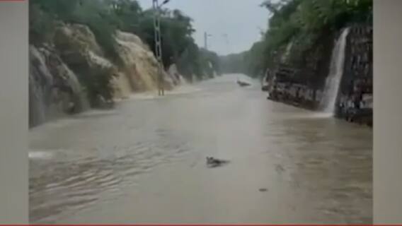 Madhya Pradesh: चंबल इलाके में बाढ़ से आफत, सेना, वायुसेना और NDRF मदद के लिए पहुंचे