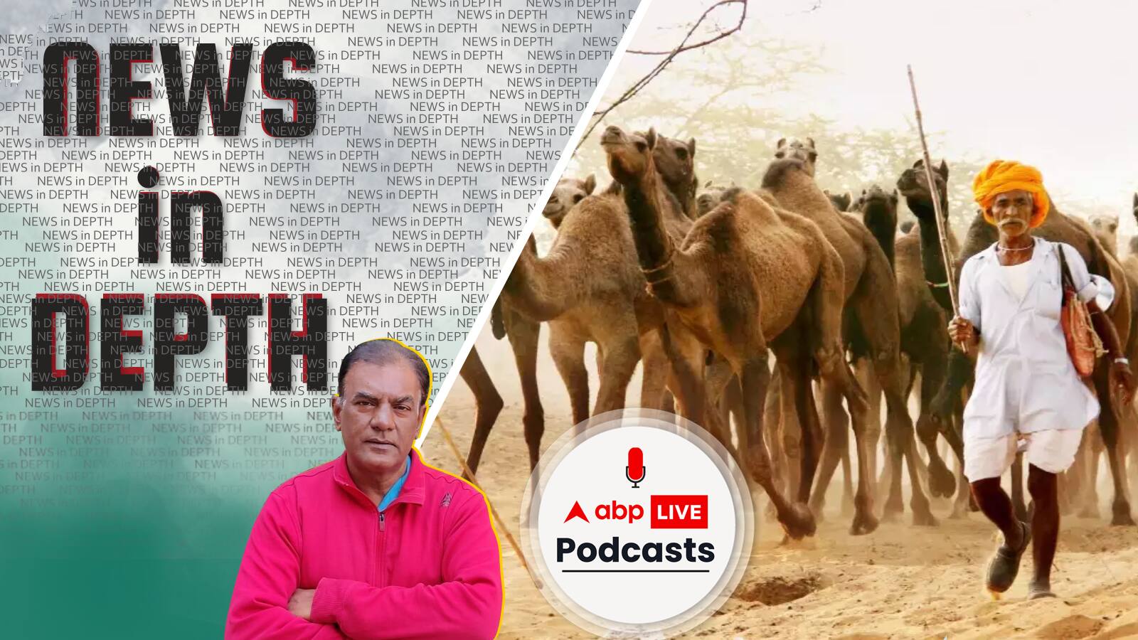 News In-Depth | ऊंट के पांव (खुर) की छाप से समझ जाते थे क्या लदा होगा उसपर, कैसे ये खुर्रा-खोजी हमेशा आए भारत के काम?