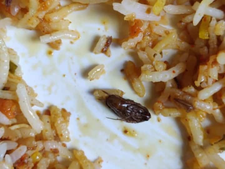 Biryani: బిర్యానీ ఆర్డర్ చేస్తే బొద్దింకలు ఫ్రీ.. నాన్ వెజ్ తిందామని వెళ్లి.. షాక్ తిన్న మున్సిపల్ కమిషనర్! Cockroach Found In Biryani at Nirmal Biryani: బిర్యానీ ఆర్డర్ చేస్తే బొద్దింకలు ఫ్రీ.. నాన్ వెజ్ తిందామని వెళ్లి.. షాక్ తిన్న మున్సిపల్ కమిషనర్!