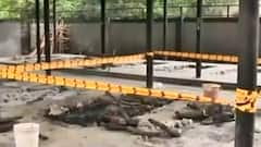 Delhi : पीड़ित परिवार के घर नेताओं का जमघट, मासूम की मौत पर भी सियासत क्यों ? | Ghanti Bajao