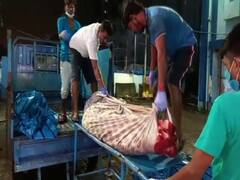 Salt Lake: সল্টলেকের ফ্ল্যাটে যুগলের রহস্যমৃত্যু, আত্মহত্যা বলে অনুমান পুলিশের