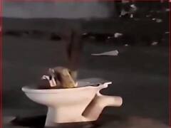 Agra News: सोशल मीडिया पर वायरल वीडियो, आगरा की मुख्य सड़क के बीचो बीच टॉयलेट सीट देखकर हैरान हुए लोग