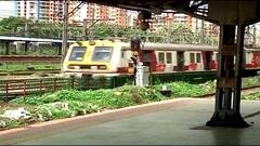 Mumbai Local : सर्वांसाठी लोकल सुरु करण्याबाबत राज्य सरकार आज उच्च न्यायालयात भूमिका स्पष्ट करणार