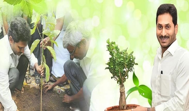 Jagananna Vana Mahostavam: Plans to plant five crore seedlings Across Andhra Prades Vana Mahostavam: ఆకుపచ్చని ఆంధ్రావని సాధన దిశగా… జగనన్న పచ్చతోరణం - వన మహోత్సవం-2021