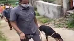 મહીસાગરઃભાજપ કારોબારી સભ્ય અને તેમના પત્નીના હત્યા કેસની તપાસ તેજ, શું કહ્યું ગૃહ રાજ્યમંત્રીએ?