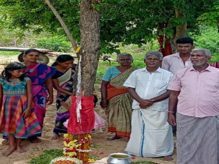 ’பால் வடிந்ததால் வேப்பமரத்திற்கு சேலை கட்டி மக்கள் நடத்திய பூஜை’ - வேப்ப மரத்தில் பால் வடிவது ஏன்?...