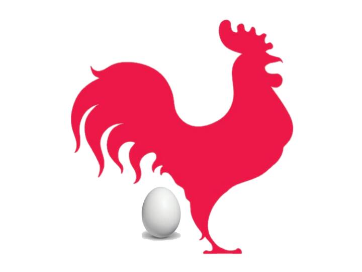 Roster lays eggs and made chicks in Chittoor district, know in details Chittoor: చిత్తూరు జిల్లాలో వింత...గుడ్లు పెట్టిన కోడిపుంజు...నెట్టింట హల్ చల్