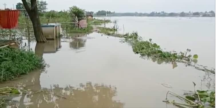 Nadia Waterlogging : হু হু করে বাড়ছে ভাগীরথীর জল, ভাসছে শান্তিপুরের বেশ কয়েকটি গ্রাম Nadia Waterlogging : হু হু করে বাড়ছে ভাগীরথীর জল, ভাসছে শান্তিপুরের বেশ কয়েকটি গ্রাম