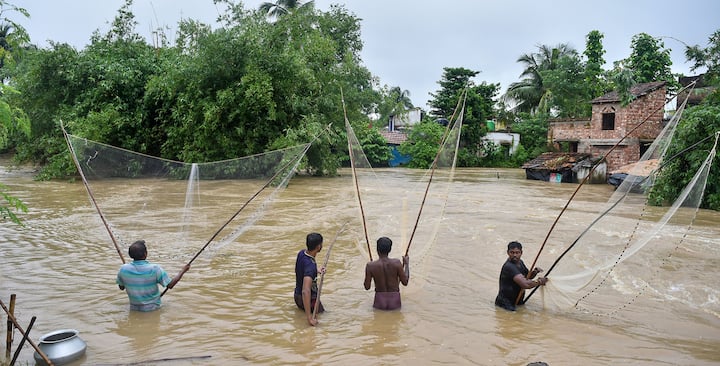 জমা জলেই চলছে মাছ ধরার কাজ।