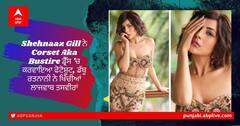 Shehnaaz Gill ਨੇ Corset Aka Bustire ਡਰੈੱਸ 'ਚ ਕਰਵਾਇਆ ਫੋਟੋਸ਼ੂਟ, ਡੱਬੂ ਰਤਨਾਨੀ ਨੇ ਖਿੱਚੀਆਂ ਲਾਜਵਾਬ ਤਸਵੀਰਾਂ
