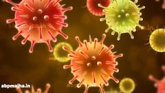 विदर्भ आणि मराठवाड्याच्या दुप्पट कोरोना रुग्ण साताऱ्यात, दिवसभरात 951 कोरोना रुग्णांची नोंद