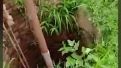 3 dead in Madhya Pradesh gas leak, several unconscious