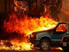 பற்றி எரியும் காடு.. அமெரிக்காவின் சோக பக்கங்கள்!