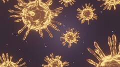 Maharashtra Corona Cases: राज्यात आज 4,895 नवीन कोरोनाबाधित रुग्णांची नोंद, तर 5,508 रुग्ण कोरोनामुक्त