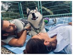 Kriti Kharbanda और Pulkit Samrat ने बड़े शानदार तरीके से मनाया अपने Pet Dog का Birthday