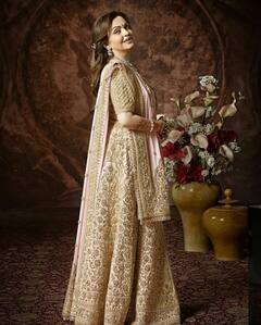 स्टाइल में बॉलीवुड एक्ट्रेस से पीछे नहीं हैं Nita Ambani, Traditional Look में हर बार दिखाती हैं शाही अंदाज़