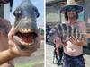 Fish with Human teeth: మనిషి పళ్ల చేప.. ఈ అరుదైన మత్స్యం ఎక్కడుందో తెలుసా?