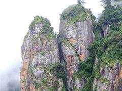 கொரோனா பரவல் எதிரொலி...! - வெளிமாவட்டத்தினர் கொடைக்கானலுக்கு வர தடை