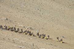 India China Standoff: पूर्वी लद्दाख के गोगरा इलाके में पीछे हटी भारत और चीन की सेना-Pics