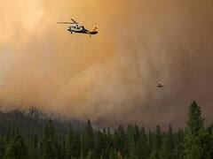 பற்றி எரியும் காடு.. அமெரிக்காவின் சோக பக்கங்கள்!