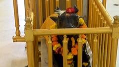 શ્રાવણ મહિના નિમિત્તે મંદિરોમાં તૈયારીઓ શરૂ, બમ બમ ભોલેના નાદ સાથે ગુંજશે શિવાલયો