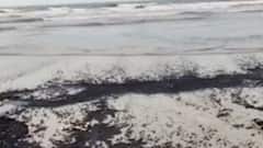 મુંબઈ: જુહુના દરિયામાં 5થી 8 કિલોમીટર સુધી તેલ પ્રસર્યું, તેલ પ્રસરવાનું કારણ અકબંધ