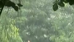 રાજ્યના ખેડૂતો માટે વધુ માઠા સમાચાર, રાજ્યમાં કેટલા વરસાદની છે ઘટ?